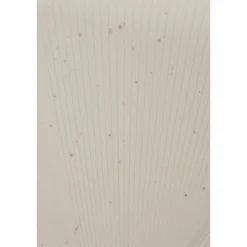 American Tourister Starvibe Spinner 67/24 Expandable TSA Ltd cream speckles