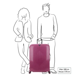 Decent Axiss-Fix 4 Wiel Trolley 78 lavendel
