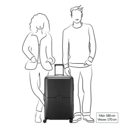 Delsey Turenne 2.0 Trolley L black