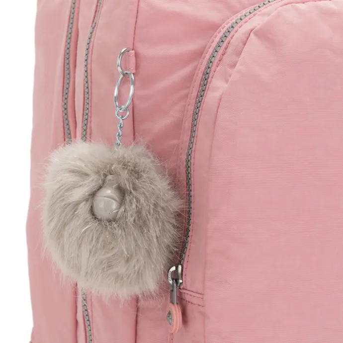 Kipling Class Room bridal rose