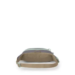 Osprey Daylite Waist Pack soundwave grey-latte brown