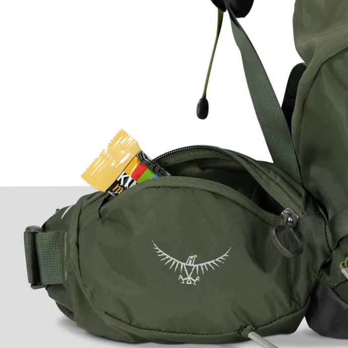Osprey Kestrel 58 S/M bonsai green