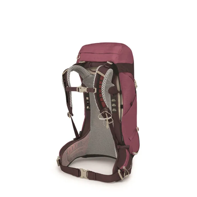 Osprey Sirrus 26 Backpack purple/chiru tan