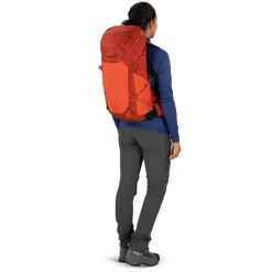 Osprey Tempest Pro 30 silver lining