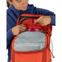 Osprey Tempest Pro 30 silver lining