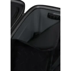 Samsonite Nuon Trunk 80/30 matt silver