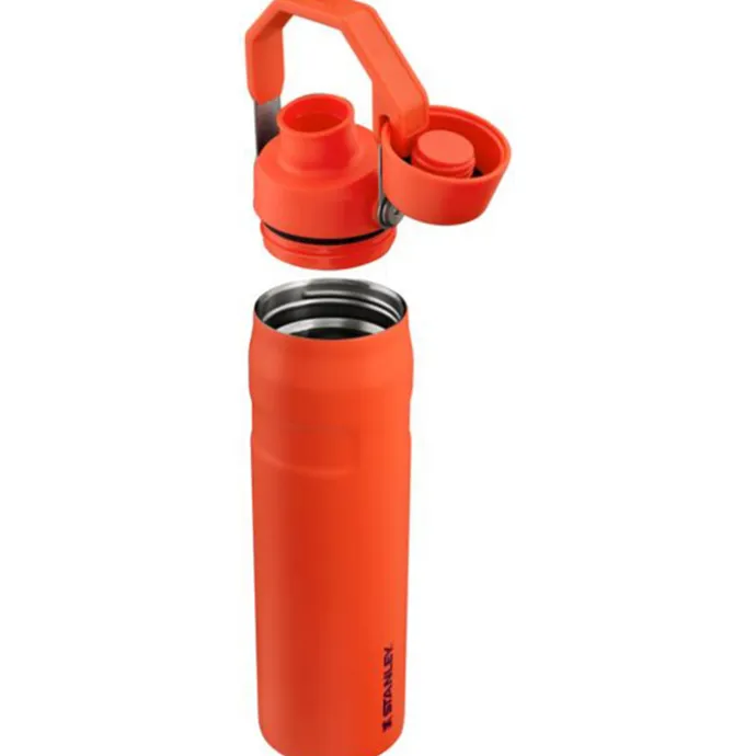 Stanley The Aerolight IceFlow Water Bottle Fast Flow 0.6L tigerlily plum