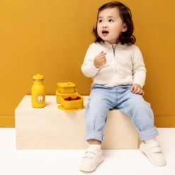 Trixie Mr. Lion Snackbox 3pc yellow