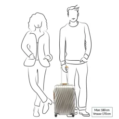 TUMI 19 Degree Titanium International Carry-On titanium